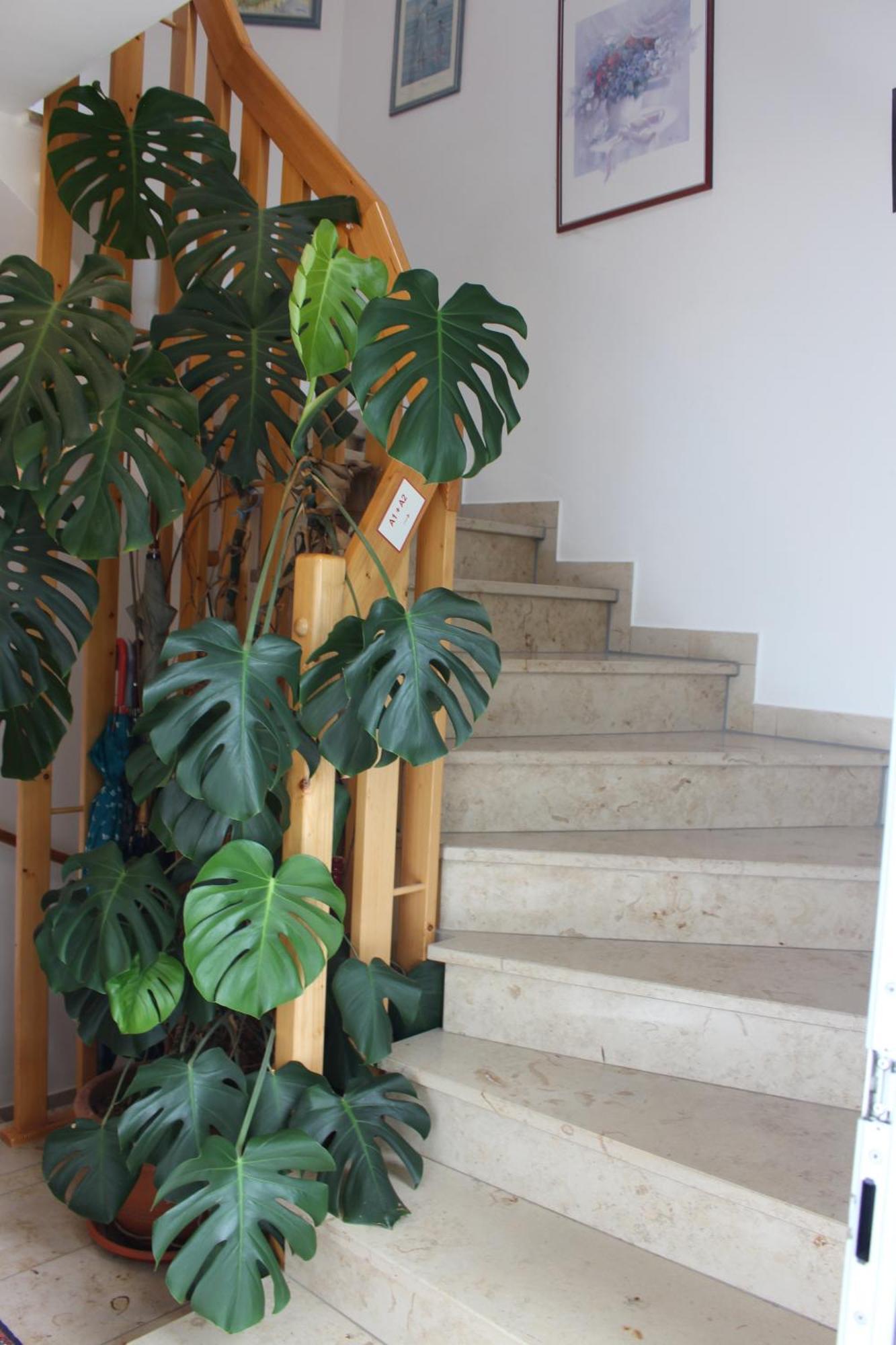 Landhotel Grabinger Schwandorf in Bayern Ngoại thất bức ảnh